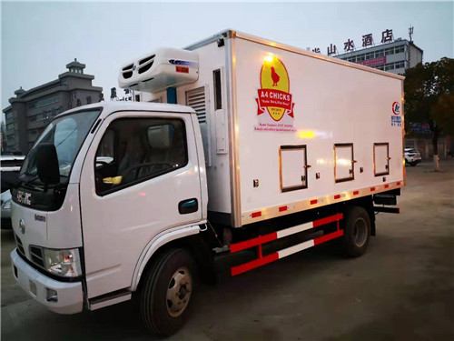 出口坦桑尼亞東風右駕雞苗運輸車發車了