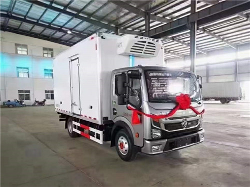 國六東風凱普特K6星云冷藏車