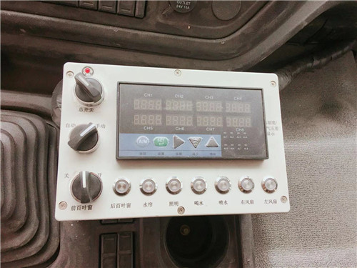 歐曼前四后八雛禽運輸車圖片 歐曼前四后八雛禽運輸車圖片