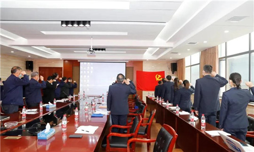 隨州市稅務局第一稽查局與程力汽車集團的全體參會成員一起重溫國歌、并向黨旗莊嚴宣誓。 隨州市稅務局第一稽查局與程力汽車集團的全體參會成員一起重溫國歌、并向黨旗莊嚴宣誓。