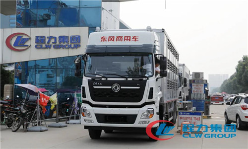 發車很有儀式感，首尾相接延綿數公里，彷如奔放涌動長龍游動。