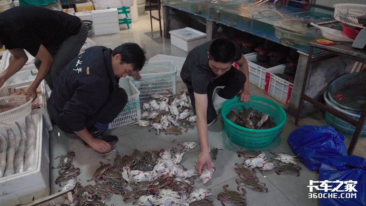 跑冷藏如何選車？15年老司機選擇凱普特